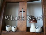 こだわりリフォーム！！　オリジナル　デザイン　リフォーム　　　　空間デザイン工房　ピースクラフト　ＮＥＷＳ！